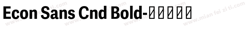 Econ Sans Cnd Bold字体转换